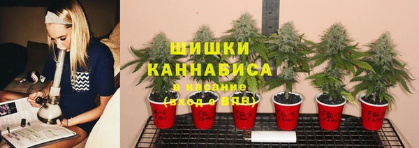 дурь Алзамай