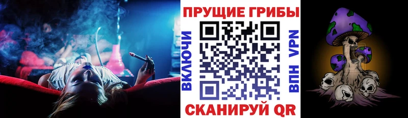 кракен зеркало  Анива  Галлюциногенные грибы Psilocybe 